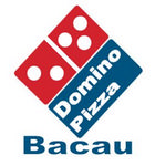 Pizza Domino Bacau